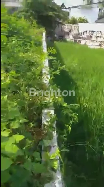 TANAH STRATEGIS DEKAT PANTAI BERAWA COCOK INVESTASI