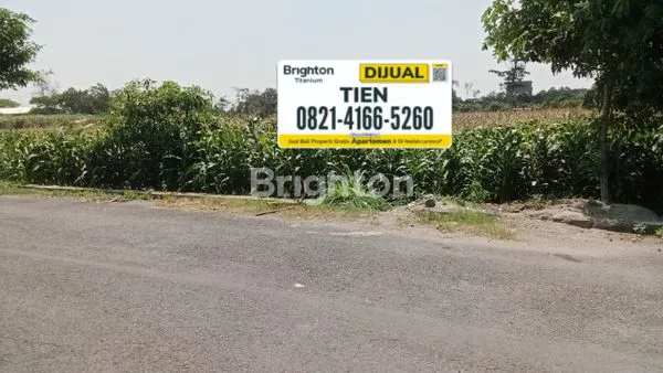 image TANAH LANAN KUNING DI KAWASAN PERGUDANGAN (1)