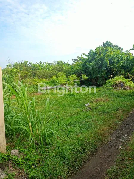 image TANAH STRTEGIS DI SANUR (3)