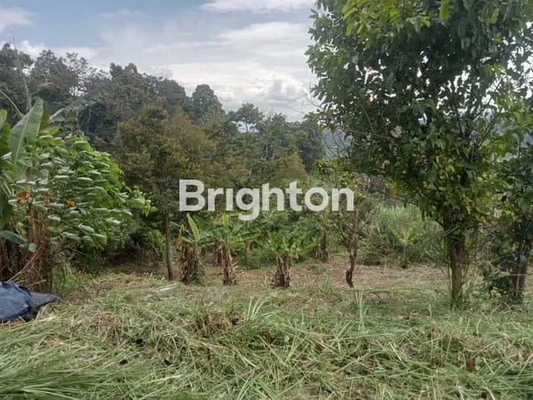 image TANAH INVESTASI TERBAIK MASA DEPAN DI JONGGOL (1)