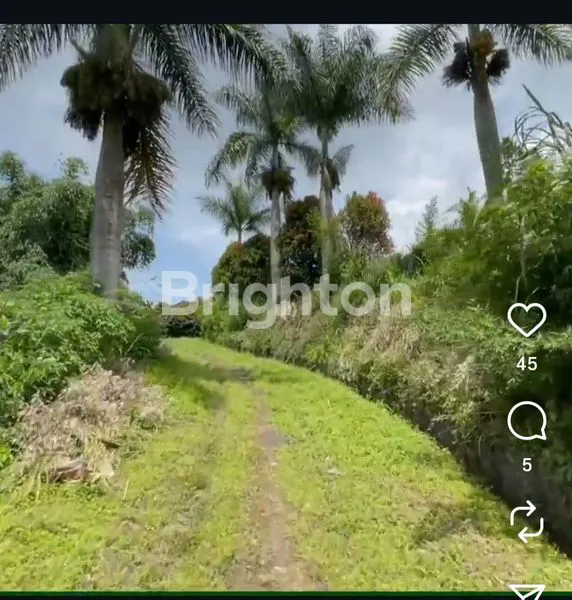 image KAVLING PREMIUM 1.25 HA VIEW KOTA BANDUNG DI TANGKUBAN PERAHU (2)