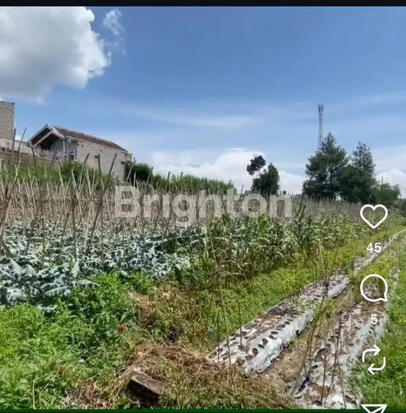 image KAVLING PREMIUM 1.25 HA VIEW KOTA BANDUNG DI TANGKUBAN PERAHU (6)