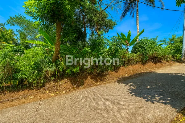 image TANAH STRATEGIS LUAS COCOK INVESTASI JANGKA PANJANG (2)