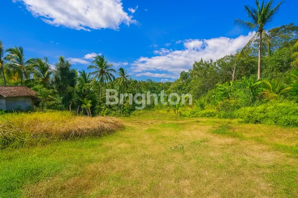 TANAH LUAS STRATEGIS COCOK INVESTASI PERKEBUNAN