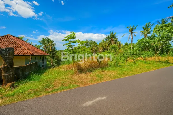 image TANAH LUAS STRATEGIS COCOK INVESTASI PERKEBUNAN (2)