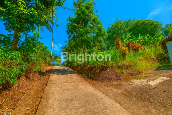 TANAH LUAS STRATEGIS COCOK INVESTASI JANGKA PANJANG