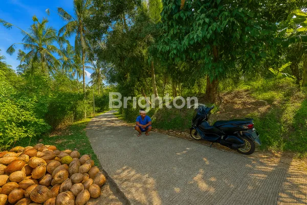 image TANAH LUAS STRATEGIS COCOK INVESTASI JANGKA PANJANG (2)