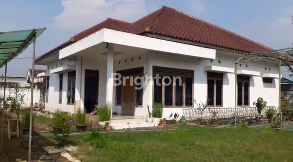 image RUMAH DAN KEBUN JOMBANG (4)