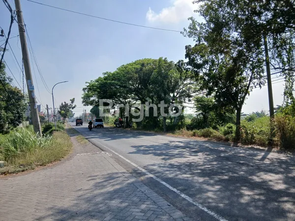 image JUAL CEPAT TANAH KOMERSIAL STRATEGIS SHM DI RAYA IKER IKER GEGER, CERME, GRESIK. (4)