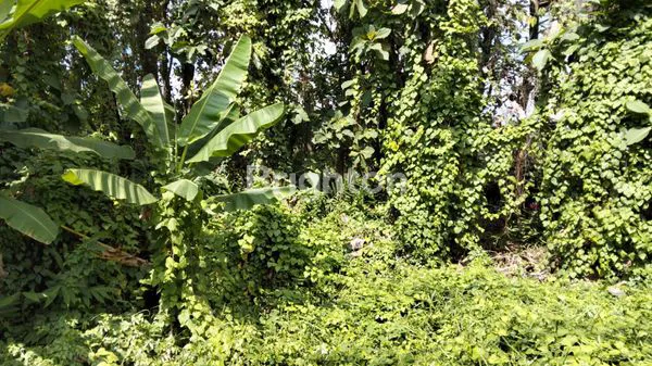 image TANAH BYPASS DR.IR.SOEKARNO, KECAMATAN KEDIRI (3)