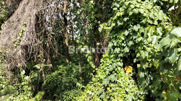 image TANAH BYPASS DR.IR.SOEKARNO, KECAMATAN KEDIRI (5)