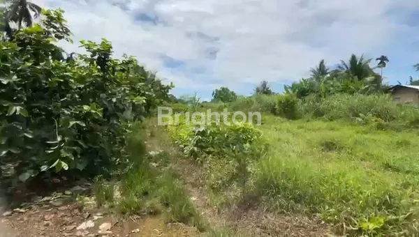 image TANAH KOSONG DI PANCUR BATU (3)