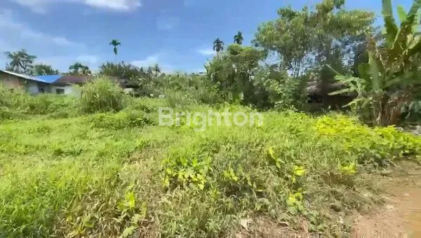 image TANAH KOSONG DI PANCUR BATU (4)