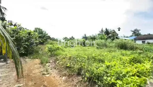 image TANAH KOSONG DI PANCUR BATU (2)