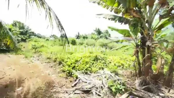 image TANAH KOSONG DI PANCUR BATU (1)