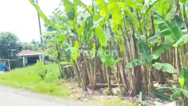 image TANAH KOSONG 3000M² PINGGIR JALAN RAYA MEDAN-BERASTAGI (4)