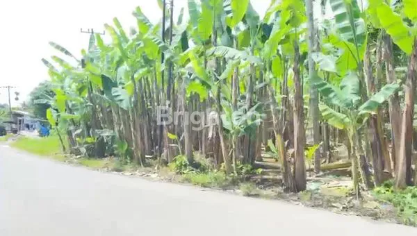 image TANAH KOSONG 3000M² PINGGIR JALAN RAYA MEDAN-BERASTAGI (3)