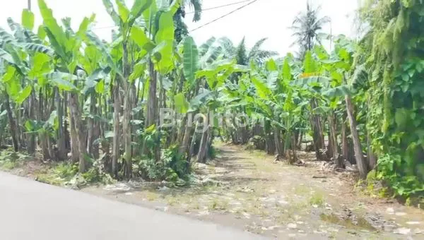 image TANAH KOSONG 3000M² PINGGIR JALAN RAYA MEDAN-BERASTAGI (2)