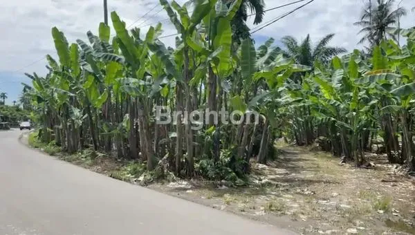 image TANAH KOSONG 3000M² PINGGIR JALAN RAYA MEDAN-BERASTAGI (1)
