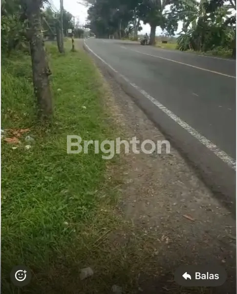 TANAH 6 HA DI TABANAN