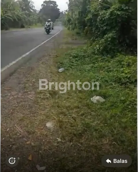 image TANAH 6 HA DI TABANAN (2)