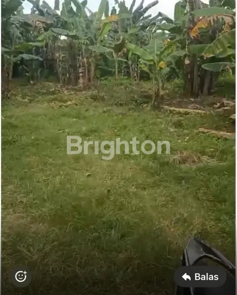 image TANAH 6 HA DI TABANAN (3)