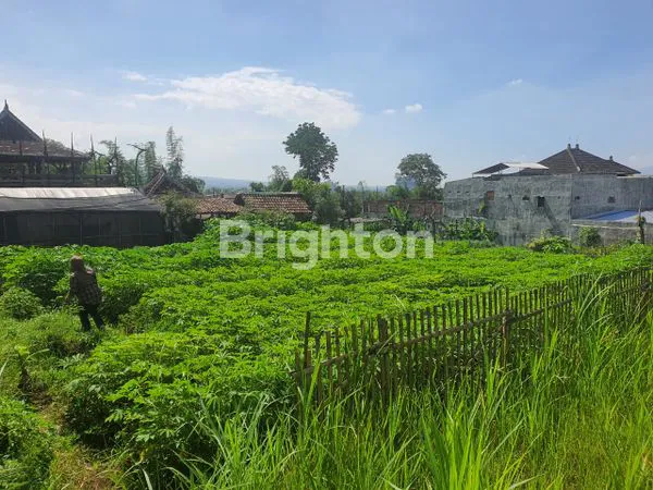 image TANAH BELAKANG CAFE BUKIT DELIGHT MALANG (2)