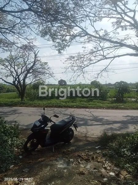 image SIAP UNTUK INVESTASI TANAH SAMPING JALAN RAYA NGEMPLAK MRANGGEN (1)
