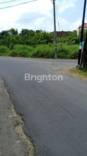 image TANAH DIJUAL DI TABANAN (3)