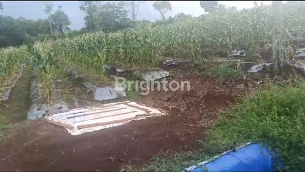 TANAH LUAS 4 HEKTAR LOKASI SUKABUMI