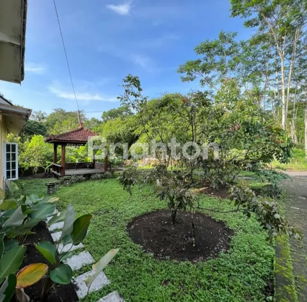 image RUMAH KEBUN AREA WISATA KALIURANG SANGAT EKONOMI JUAL SEGERA (2)