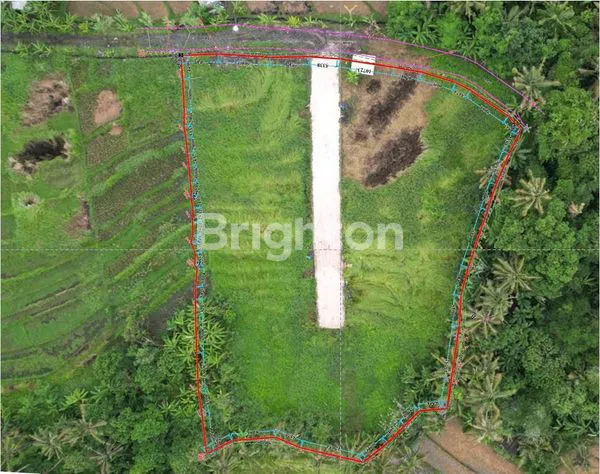 TANAH ZONA PINK SELUAS 37,6 ARE DENGAN 360° GREENBELT VIEW  .DEKAT PANTAI TANAH LOT