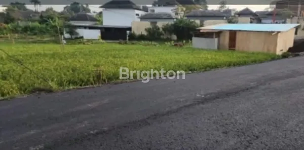 image TANAH STRATEGIS CANGGU DEKAT PANTAI DAN JALAN UTAMA (2)