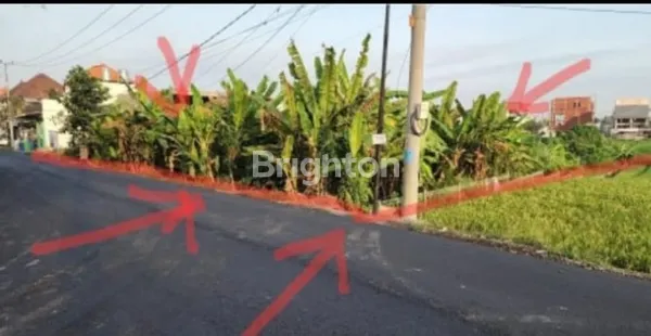 image TANAH STRATEGIS CANGGU DEKAT PANTAI DAN JALAN UTAMA (3)
