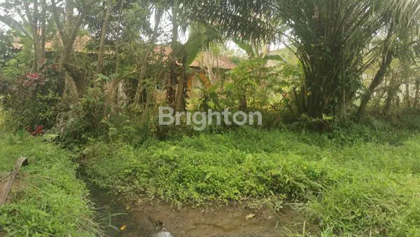 image RUMAH  HITUNG TANAH DI DUSUN TEGALO MUNGKID KABUPATEN MAGELANG (2)