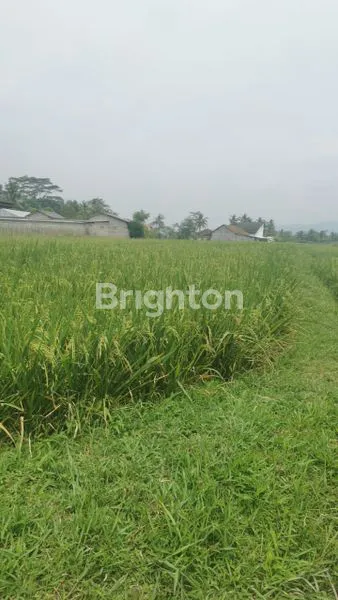 image RUMAH  HITUNG TANAH DI DUSUN TEGALO MUNGKID KABUPATEN MAGELANG (4)