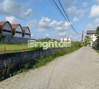 TANAH DISEWAKAN 30 THN AREA PANDAK GEDE