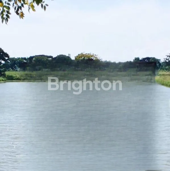 image TANAH MANYAR DEKAT PELABUHAN JIPPE GRESIK (2)