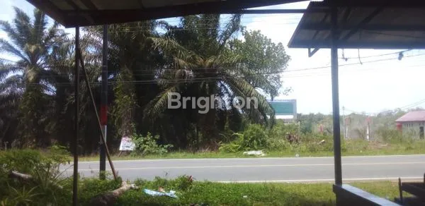 image DIJUAL  TANAH DIDAERAH PENAJAM  SIMPANG SILKAR (2)