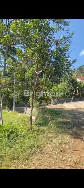 image TANAH KOSONG DILOKASI STRATEGIS DI SALATIGA,JAWATENGAH. (2)