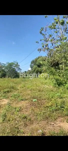 image TANAH KOSONG DILOKASI STRATEGIS DI SALATIGA,JAWATENGAH. (3)