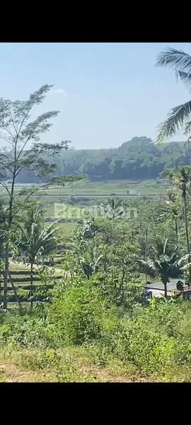 image TANAH KOSONG DILOKASI STRATEGIS DI SALATIGA,JAWATENGAH. (1)