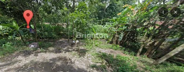 image TANAH DATAR 1613M² STRATEGIS DEKAT TOL PASEH SUMEDANG - SHM (5)