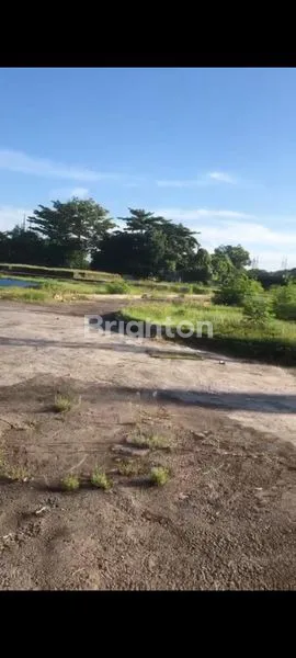 image SEWA TANAH 1000M² JIMBARAN (5)
