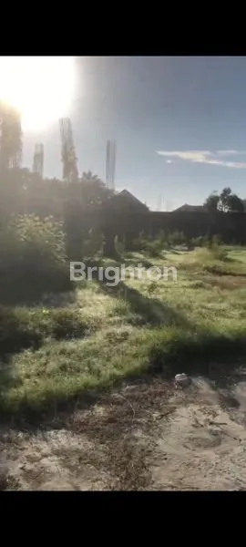 image SEWA TANAH 1000M² JIMBARAN (3)