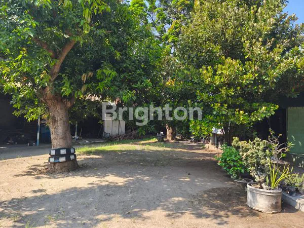 image GUDANG DAN RUMAH MADIUN 0 JALAN RAYA (4)