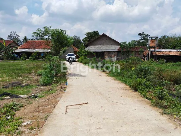 image TANAH KRAWANGSARI NATAR LAMPUNG SELATAN MURAH SUDAH ADA JALAN (2)
