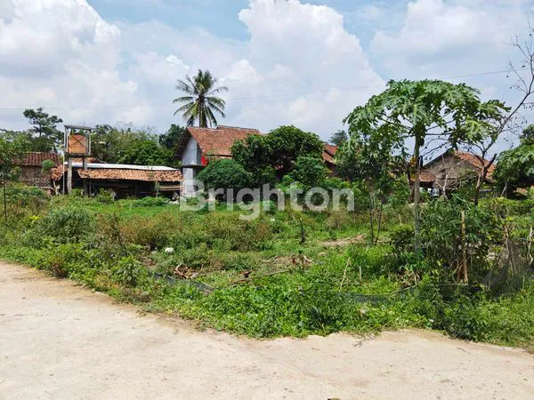 image TANAH KRAWANGSARI NATAR LAMPUNG SELATAN MURAH SUDAH ADA JALAN (5)