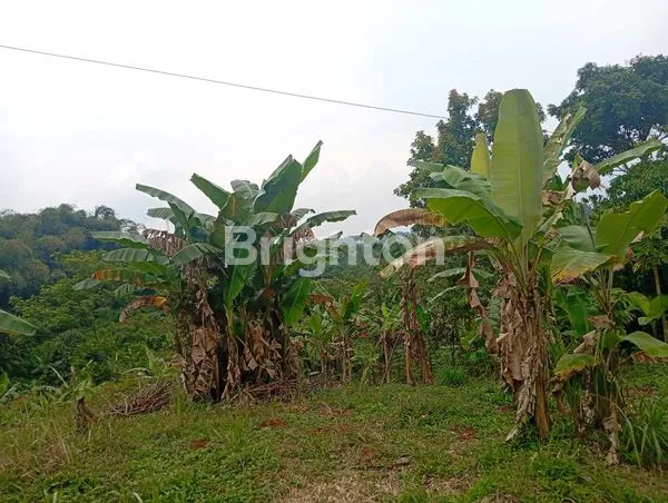 image TANAH COCOK UNTUK VILLA (2)