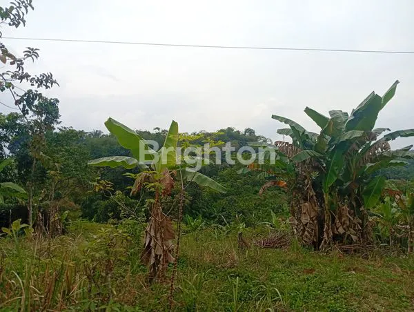 image TANAH COCOK UNTUK VILLA (1)